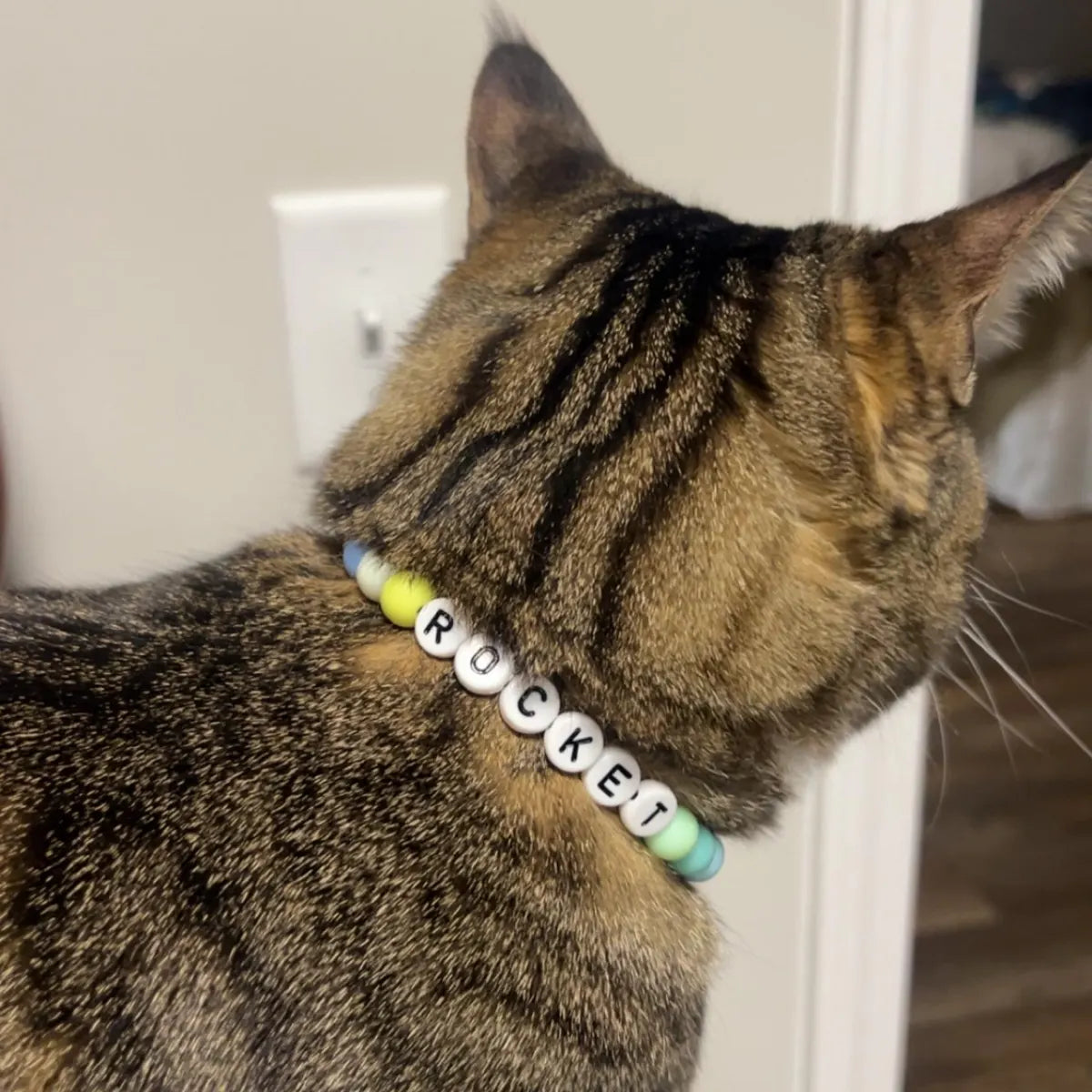 Furiend™ BFF Cat Collar + Free Matching Bracelet
