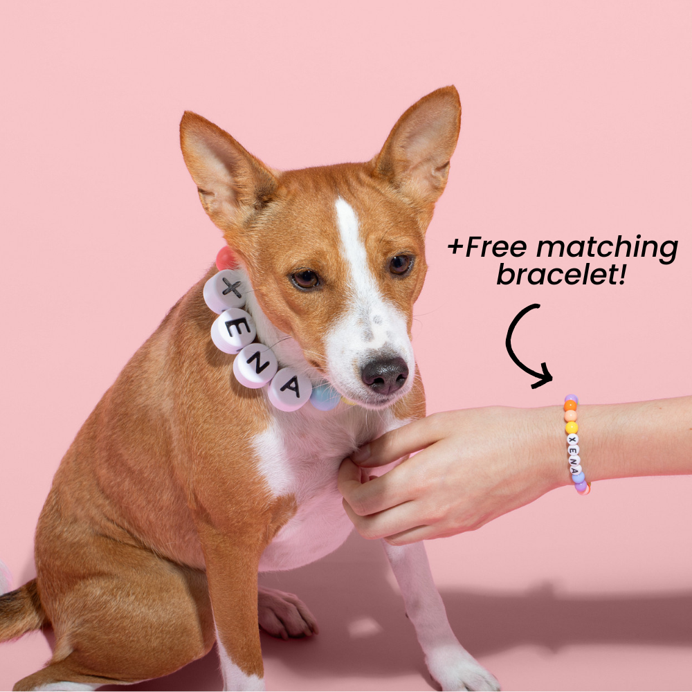 Furiend™ BFF Dog Collar + Free Matching Bracelet